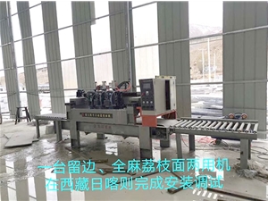 Fengze lychee noodle machine dual-use machine in Xigaze xizang completed installation and commissioning  