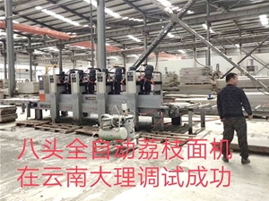 丰泽八头全自动荔枝面机在云南大理调试成功