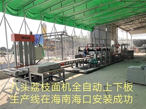 The automatic loading and unloading production line of eight litchi noodle machine has been successfully installed in Haikou, Hainan Province  